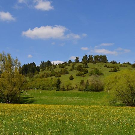 Casa Wiesenblick نورتينغن المظهر الخارجي الصورة